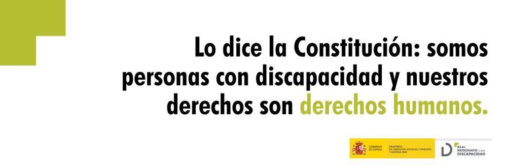 Lo dice la Constitución: somos personas con discapacidad y nuestros derechos son derechos humanos